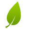 Green Leaf